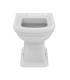 Calla E2225 WC dos à mur avec drain 6/3LtIdeal Standard