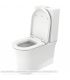 WC monobloc Duravit, série White Tulip 219709, avec émail hygiénique