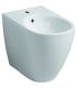 Back to wall bidet Geberit Icon 234050000