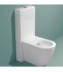 Cassetta wc monoblocco Ceramica Flaminia serie Niagara TR38