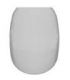 Toilet seat made of resin for toilet Pozzi Ginori collection easy/quinta