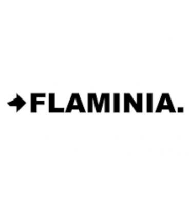 Floor drain set for WC Ceramica Flaminia
