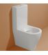 Monobloc toilet Ceramica Flaminia App AP116G go clean