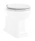 Toilet seat with chrome hinges Pozzi Montewhite 07761