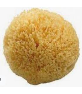 Natural sponge for shower, Koh-I-Noor collection cura del corpo