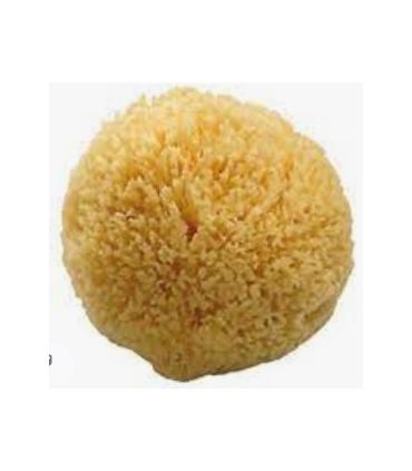 Natural sponge for shower, Koh-I-Noor collection cura del corpo