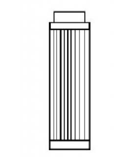 Cartouche pour europafiltre BWT WF 3/4-1" 1/4