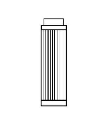 Cartouche pour europafiltre BWT WF 3/4-1" 1/4