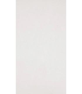 Carreau revêtement sur le mur Marazzi collection Blancos 20x50 poli
