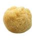 Bath sponge, Koh-i-noor, natural diameter 15