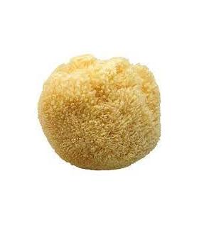 Bath sponge, Koh-i-noor, natural diameter 15