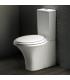 Close-coupled toilet back to wall horizontal or vertical outlet HATRIA collection Sculture