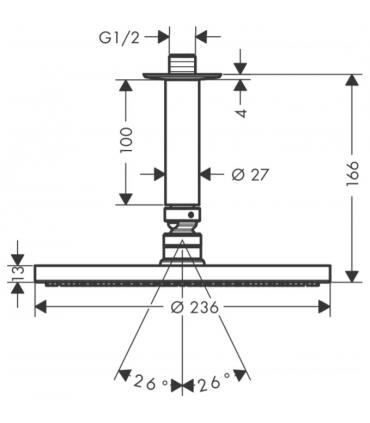 Hangrohe Raindance 27620 ceiling arm shower head