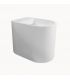WC suspendu Ceramica Flaminia Astra Plus AS117GR go clean