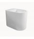 Back to wall toilet Ceramica Flaminia Astra Plus AS117GR go clean