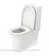 WC monobloc Duravit, série White Tulip 219709, avec émail hygiénique