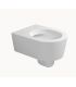 Vaso Wc Sospeso Go clean Flaminia Link 5064G