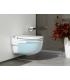 Wall-hung toilet with integrated cistern Roca In Tank Meridian