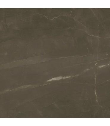 Tuile intérieur Marazzi série Allmarble 60X60