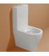 WC monobloc Ceramica Flaminia App AP116G go clean