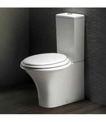 WC monobloc  au mur pour reservoir ecoulement universel  collection Sculture