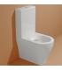 Renovation monobloc toilet Flaminia App Plus AP116RG go clean