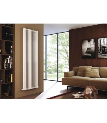 Radiateur Tuyaulare a' 2 colonnes, Cordivari collection ardoise