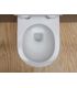 WC suspendu Flaminia App AP118G Avec Go Clean