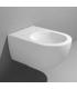 Wall hung toilet gosilent Flaminia App AP118S