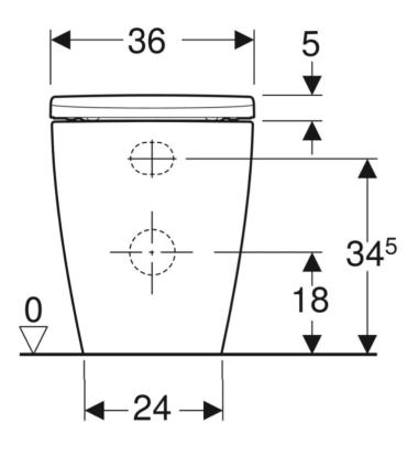 Back to wall toilet Geberit Icon New