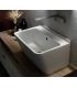 Colavene Wynn counter top or wall hung sink without hole