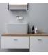 Colavene Wynn counter top or wall hung sink without hole