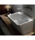 Colavene Wynn counter top or wall hung sink without hole