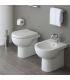 Bidet mural monotrou Flaminia Quick