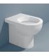 Floor standing toilet back to wall Flaminia Quick