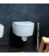 Wall hung toilet Flaminia collection mini Link