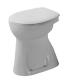 Toilet for the disabled Duravit Sudan floor outlet