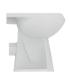 Maia T4644 Floor-standing WC with Ideal Standard wall drain