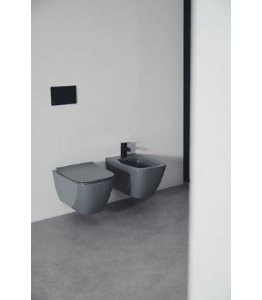 I.Life B T4615 Bidet Suspendu 56X35 MonotrouIdéal Standard