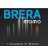 Mitigeur de douche externe série M'amo Brera