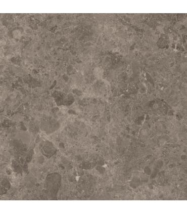 Carrelage intérieur Marazzi Mystone Du Gent 60X60