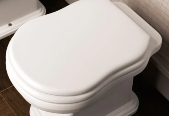 How to assemble the toilet seat